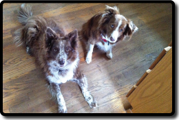 The Owls Nest Inn | Newberg, OR